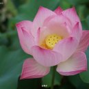 무구선원 이미지