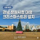 경남 창원시청 크리스마스트리 설치 시공 후기ㅣ화이트인테리어