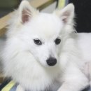 김천연합동물병원 이미지