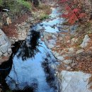 전원펜션 | 아이들 놀기 좋은 경주캠핑장 전원일기펜션오토캠핑장 후기