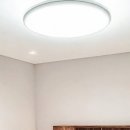 파라시오갤러리 이미지