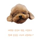 입 주변 건조증 봄철 피부관리 건재생오일 내돈내산