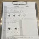 전주 인후동 속눈썹펌 잘하는곳 추천 로더 에스테틱 J컬 후기