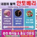 건강한친구들 이미지