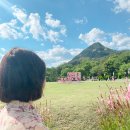 현암사 석조여래좌상 | 청와대 동선 관저와 불상 경주방향 대좌 석조여래 좌상 방문 후기