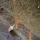 방화동농장 이미지