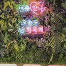 죽양대로 | 안성 애견카페 만나247 | 실내 오프리쉬 가능한 안성카페 후기