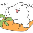 샬롬유외과의원 네이버블로그