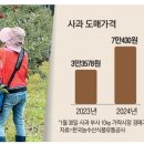 펀치볼농원