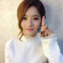 베베미뇽 이미지