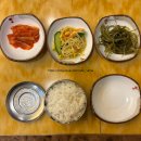 부산 덕천 뉴코아 맛집 가성비 좋은 한식 전문점 궁채 후기 및 뉴코아 주차 정보까지