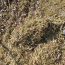 옥이네농장 이미지