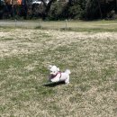 행복구대 이미지