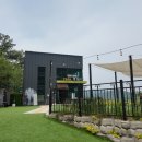 용인 애견동반 애견카페 실내 실외 다있는 별똥구리
