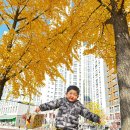 뫼골공원 이미지