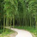 태화강 국가정원 코스 이미지