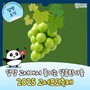 일암천 이미지