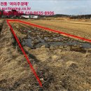 내기초등학교신영분교장 이미지