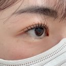 연제초등학교(A) | 연산동 속눈썹 쎌리아에서 속눈썹펌 대만족 후기