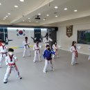 강무태권도