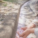 총신대학교 신학대학원 이미지