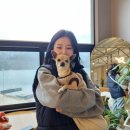 옥천 방아실 카페 와유 &amp; 가족, 애견 카페 후기
