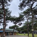 숲속의 샘물 캠핑장 | [전남 화순] 숲속의 베리팜 캠핑장 오토캠핑, 글램핑 후기 / 아이들 놀기 좋은 / 사이트 안내