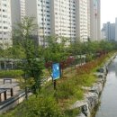 해솔공인중개사사무소 이미지