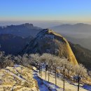 임학주유소 이미지