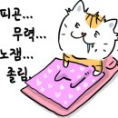 포레스트캣 이미지