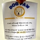 도그파우 이미지