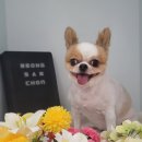 멍 삼촌 이미지