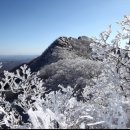 65차 산처럼 정기산행! 국립공원 스탬프 투어 9탄! 광주 무등산 눈꽃산행! 2021년 01월 17일 일요일! 이미지