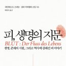 내손으로만드는역사책 이미지