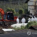 제동농장 이미지