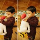 애니멀즈동물병원 이미지