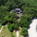 완도 고금도 지석묘군 이미지