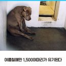 선호농장 이미지