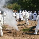 평창 방림삼베민속 | 평창 방림삼베민속 강원도 무형문화재 지정 축하연 개최