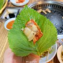 후딱뒷고기
