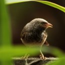 유한회사 자유 이미지