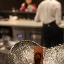 [🇦🇺🦘Sydney] 시드니 여행 - KOI Dessert Bar
