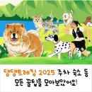 댕댕보스 | 댕댕트레킹 2025 숙소 주차 각종 꿀팁 모음 편히 즐기자