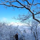 발도장:마흔둘 (가리왕산) 이미지