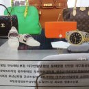 고이비토대구모다 이미지
