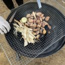 인천송도국제캠핑장 | 바다가 보이는 인천 송도 국제 캠핑장 카라반 리얼 후기