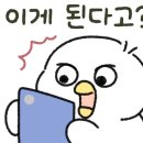 헤라룸