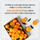 최한의원 이미지