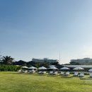 스카이캠 이미지