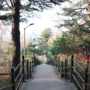 야시골공원 이미지